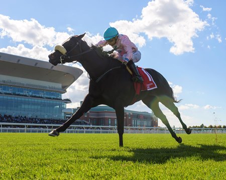 Brickyard Belle wins the Matron Stakes at Belmont Park
