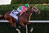 Agate wins the 2026 Bourbon Stakes at Keeneland