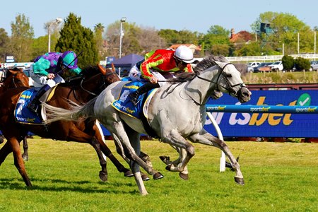 Kingswood wins the Caulfield Cup at Caulfield Racecourse