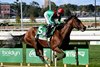 U. S. S. Valor wins the 2026 Champagne Stakes at Belmont Park
