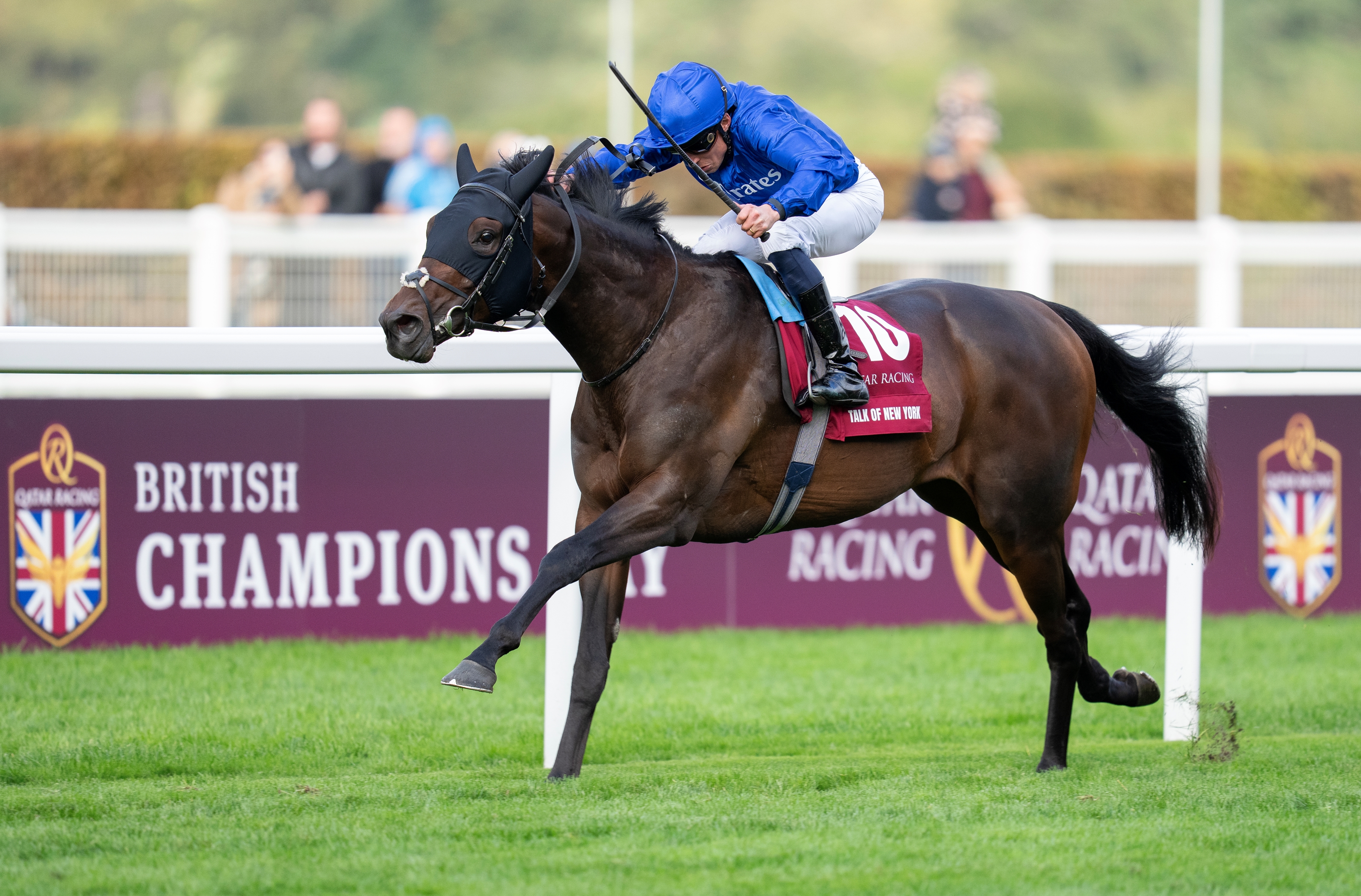 ビジネス・経済 HIT WIN VICTORY II OF HORSE RACE Talk of New York Brilliant in Queen Elizabeth Victory - BloodHorse