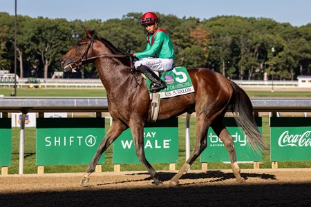 U. S. S. Valor after winning the Champagne Stakes at Belmont Park