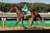 U. S. S. Valor wins the 2026 Champagne Stakes at Belmont Park
