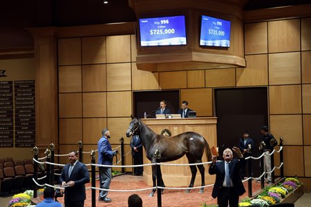 The Nyquist filly consigned as Hip 996 in the ring at the Fasig-Tipton October Yearlings Sale