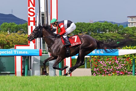 Monroe Walk wins the Sho Rose Stakes at Hanshin Racecourse