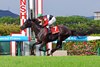 Monroe Walk wins the 2026 Sho Rose Stakes at Hanshin Racecourse