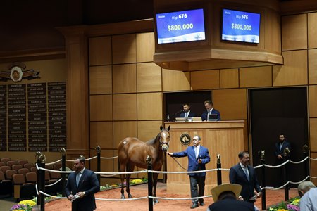The Into Mischief colt consigned as Hip 676 in the ring at the Fasig-Tipton Kentucky October Yearlings Sale