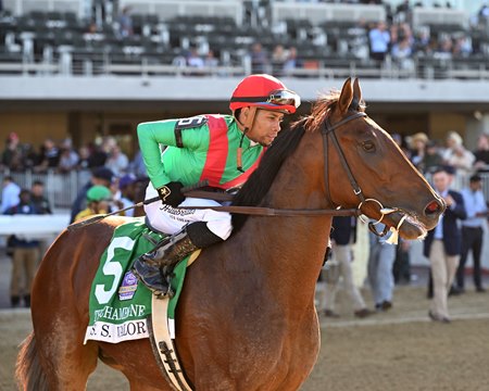 U. S. S. Valor wins the Champagne Stakes at Belmont Park