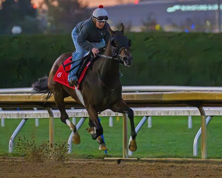 Nitrogen trains Oct. 21 at Keeneland
