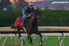 Nitrogen training
Morning training at Keeneland
 in Lexington, Ky. on Oct. 21, 2026. 