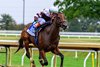 Emphatic with Tyler Gaffalione wins the Alcibiades (G1) at Keeneland in Lexington, Ky. on Oct. 2, 2026
