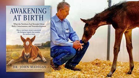 John Madigan has penned a new book, "Awakening at Birth"