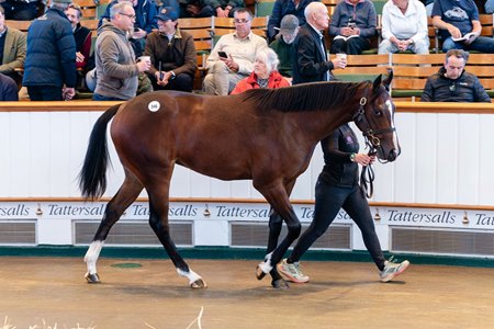 The Frankel filly consigned as Lot 346 in the ring at the Tattersalls October Yearling Sale