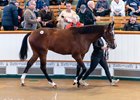 Lot 346  Frankel (GB) / Alcohol Free (IRE) B.F. (GB)Baroda Stud, IrelandAndrew Balding900,000 Tattersalls Book 1 08/10/2026