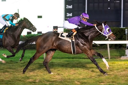Turf racing at The Meadowlands