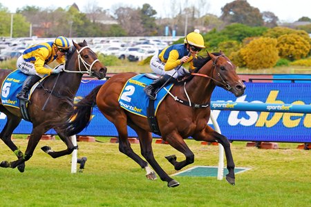 Warwoven proves best in the Caulfield Guineas at Caulfield Racecourse