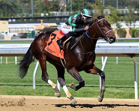 Mystik Bayou breaks his maiden in his second career start at Belmont Park