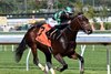 Mystik Bayou, Maiden Win, October 3 2026, Belmont Park