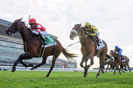 Minaret Station (outside) defeats Far Bridge (inside) in the Joe Hirsch Turf Classic at Belmont Park
