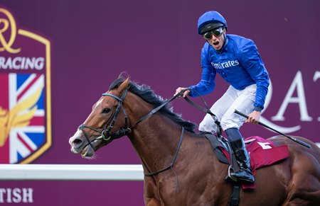 Ombudsman wins the Champion Stakes at Ascot Racecourse