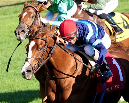 Adonius wins the Indian Summer Stakes at Keeneland