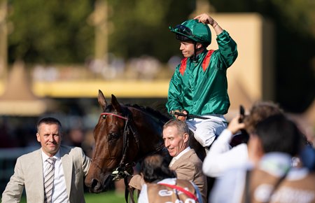 Daryz after winning the Prix de l'Arc de Triomphe at ParisLongchamp