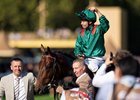 Daryz (Mikael Barzalona) wins the Arc
Longchamp 4.10.26 Pic: Edward Whitaker