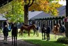 Fasig-Tipton Saratoga Fall Sale scenes