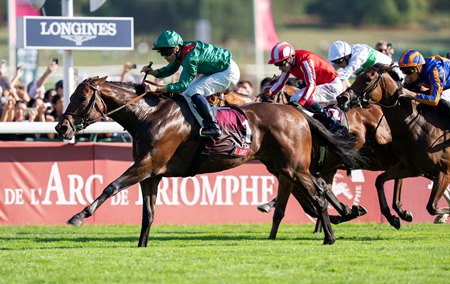 Daryz wins the Prix De l'Arc de Triomphe at Longchamp
