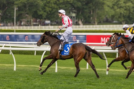 Global Goal wins the Flight Stakes at Randwick Racecourse
