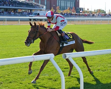 Domestic Agenda wins the Miss Grillo Stakes at Belmont Park
