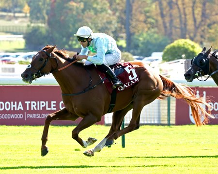 Jabracadabra, a 2024 graduate of the Arqana October Yearling Sale, wins the Prix Chaudenay at ParisLongchamp Racecourse