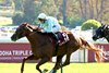 Jabracadabra wins the 2026 Prix Chaudenay at ParisLongchamp Racecourse