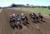 Scene - Eureka Downs - 101726