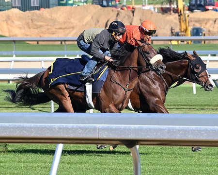 Far Bridge (shadow roll) breezes on turf at Belmont Park