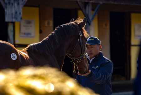 Scenes, 2026 Fasig-Tipton Eastern Fall Yearlings Sale