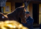 Scenes, 2026 Fasig-Tipton Eastern Fall Yearlings Sale
