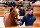 Lot 260  Justify (USA) / Stars At Night (IRE) B.C. (USA) Marlhill House Stud, IrelandM V Magnier &amp; White Birch Farm1,600,000 Tattersalls Book 1 07/10/2026