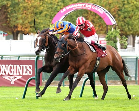 Caballo de Mar (outside) and Scandinavia battle to the wire in the Prix du Cadran at ParisLongchamp Racecourse