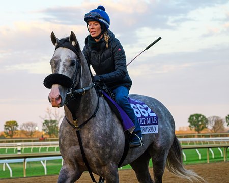 Napoleon Solo trains at Keeneland