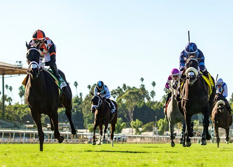 Undefeated Juveniles Take Santa Anita Turf Stakes