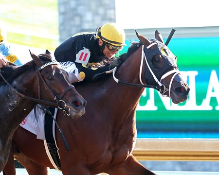 Willy D's defeats Stars and Stripes in the Fayette Stakes at Keeneland