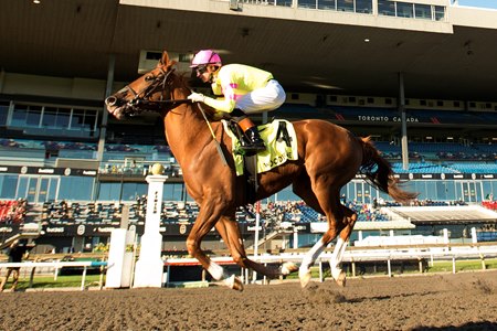 Magical Trickster wins the Frost King Stakes at Woodbine