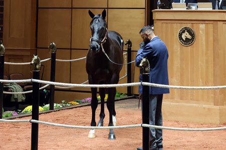 The Not This Time colt consigned as Hip 1455 tops the fourth and final session of the Fasig-Tipton October Yearlings Sale