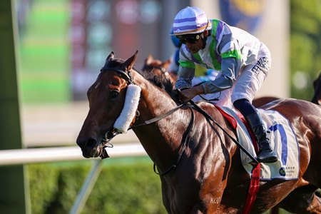 Light Years Charm wins Sha Tin Trophy Handicap