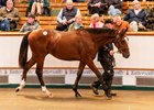 Lot 237  Frankel (GB) / Shambolic (IRE) B.C. (GB)Newsells Park Stud Ltd.M V Magnier &amp; White Birch Farm4,000,000 Tattersalls Book 1 07/10/2026