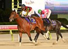 Silver Ratio wins the 2026 Japan Dirt Classic