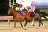 Silver Ratio wins the 2026 Japan Dirt Classic