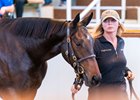 Lot 82  Blue Point (IRE) / Light The Stars (IRE) B.F. (IRE) Loughtown Stud, IrelandB Flay Thoroughbreds825,000 Tattersalls Book 1 06/10/2026
