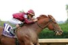 Nakatomi wins the 2026 Stoll Keenon Ogden Phoenix Stakes